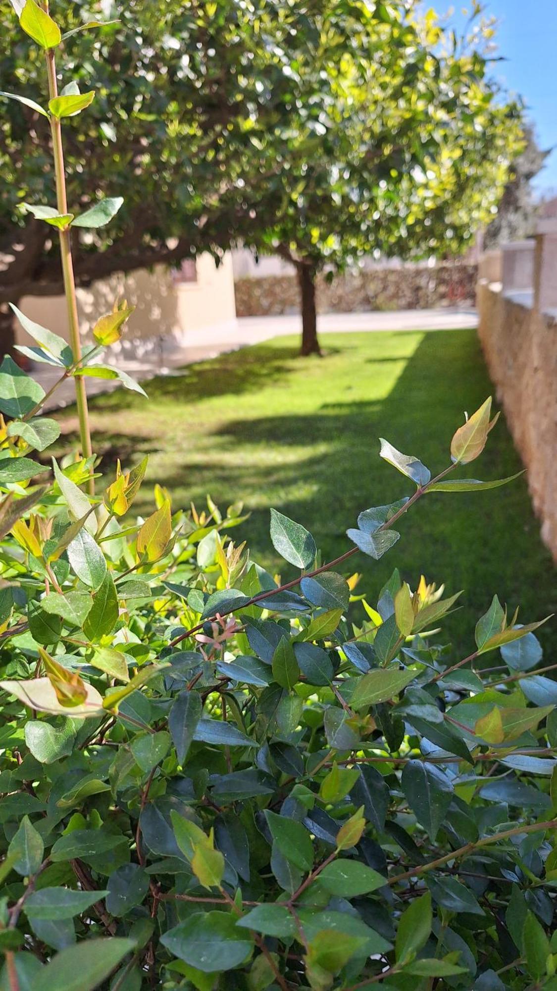 Apartmán Antares Cavtat